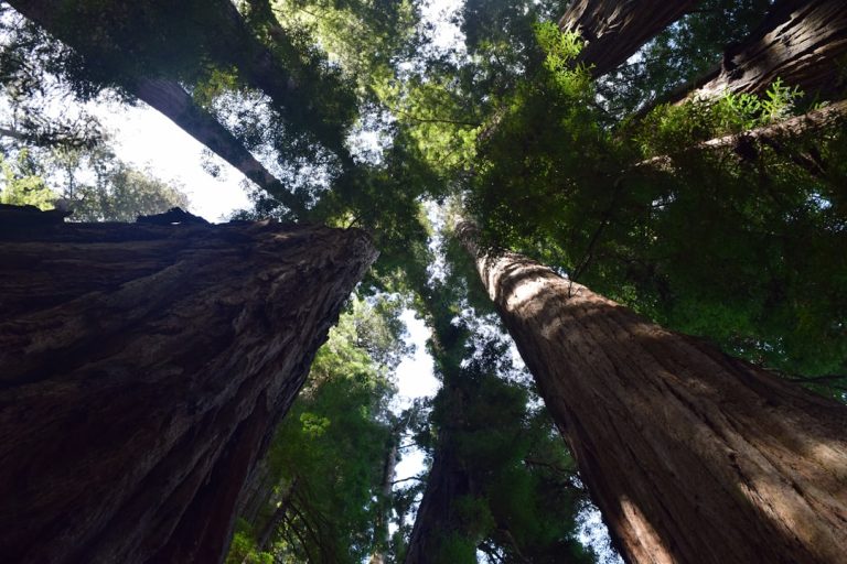 The Art of Slow Travel: Embracing the Journey