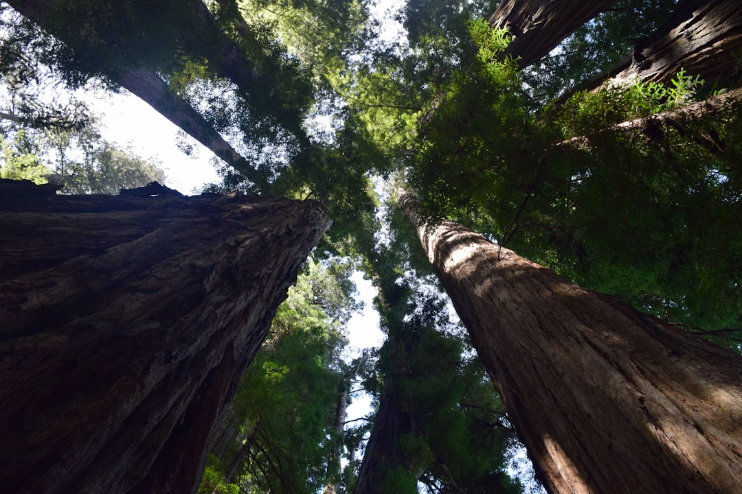 The Art of Slow Travel: Embracing the Journey The Art of Slow Travel: Embracing the Journey